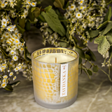 Candle - Crocodile Frosted Gold 500g